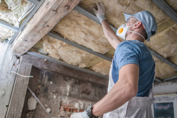 Best Insulation for Specific Applications in Funny River, AK